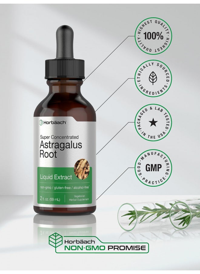 Astragalus Root Extract Liquid 2 Fl Oz Alcohol Free Tincture Super Concentrated Vegetarian