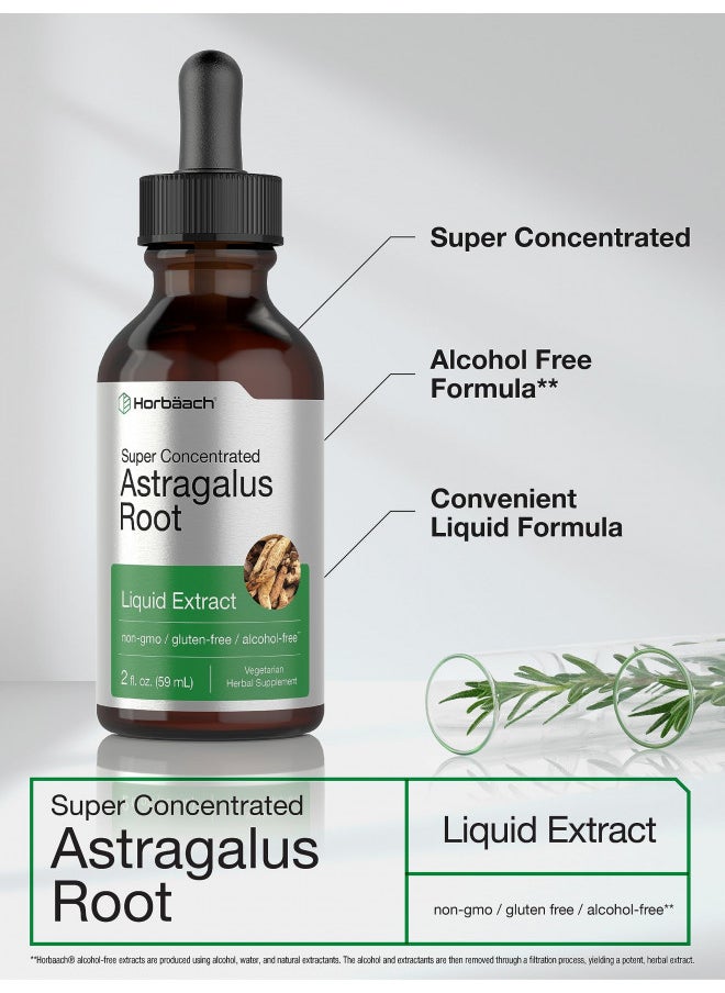 Astragalus Root Extract Liquid 2 Fl Oz Alcohol Free Tincture Super Concentrated Vegetarian