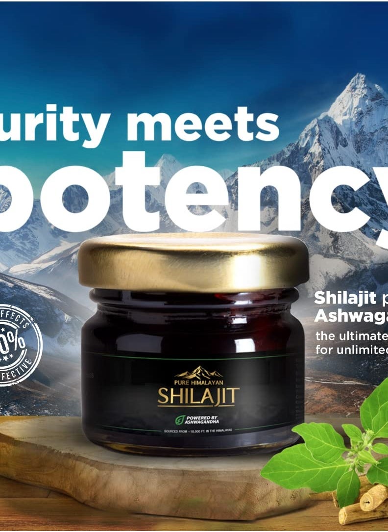 WOW Life Science Pure Himalayan Shilajit/Shilajeet Resin Powered by Ashwagandha - 20g | Guaranteed 75%+ Fulvic Acid | Enhance Strength, Stamina &...