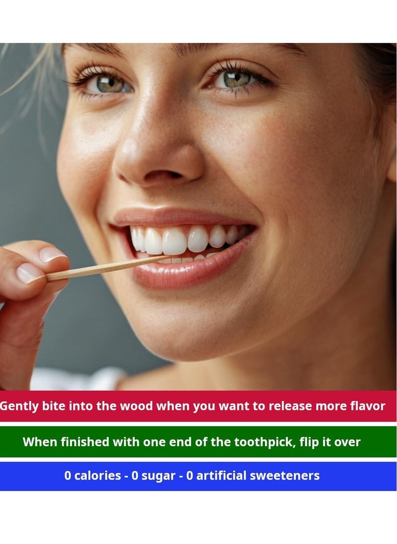 Mint Flavored Toothpicks 200ct