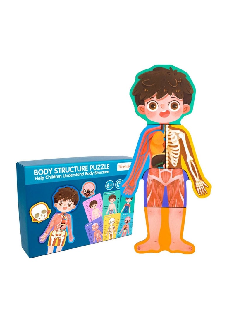 Factory Price - Treehole Body Structure Puzzle Toy Set - Boy