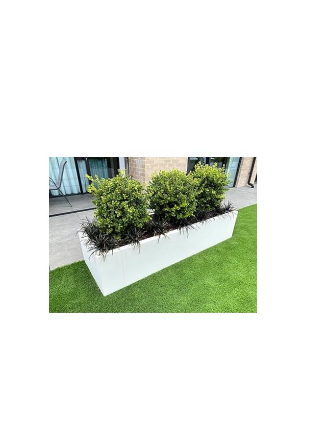 GRP Fiberglass Rectangular Long Pot 90x30x30cm (LWH) for Plants and Flower White Color Pots for indoor and Outdoor