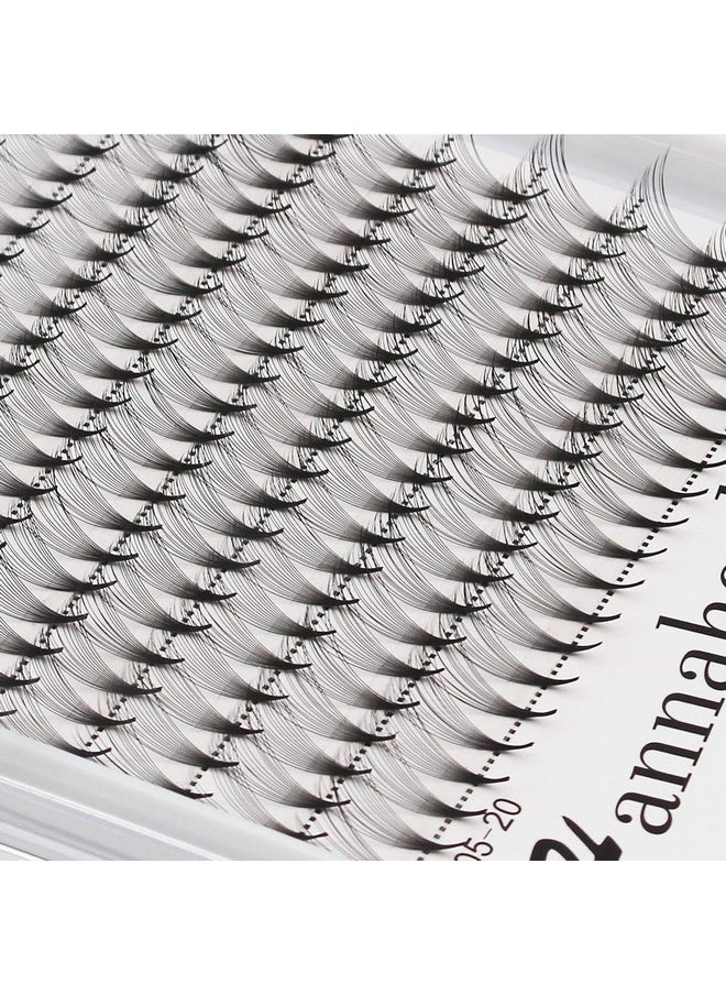 14D Premade Fans Eye Lashes D Curl Thickness 0.07Mm Mixed 8-10-12-14Mm/10-12-14-16Mm/12-13-15-16Mm/12-14-16Mm/14-15-16Mm Individual False Eyelashes Cluster (12-13-15-16Mm)