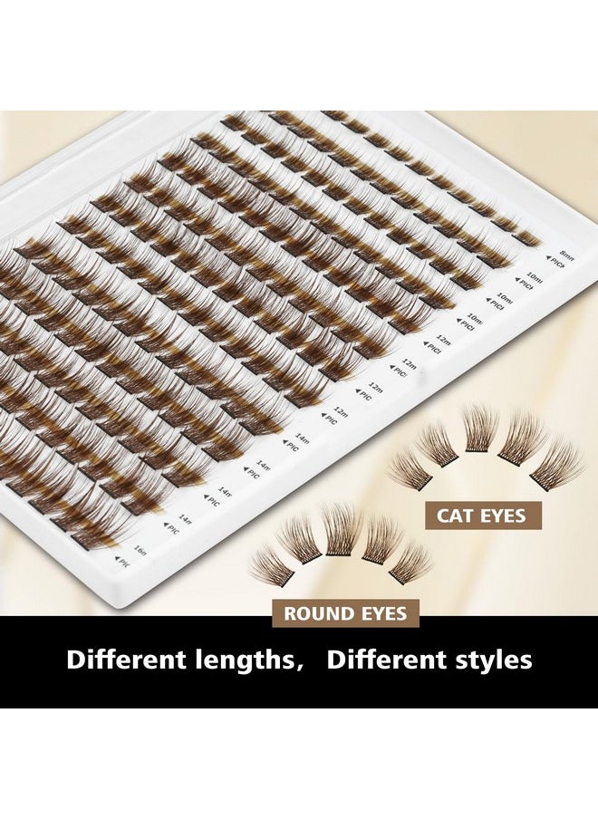 Brown Lash Clusters, 156Pcs Individual Lashes Natural Brown Cluster Lashes Extensions 8-16Mm Mix Lengths C Curl 0.07Mm Thickness Eyelash Clusters And Apply Under Your Lashes(Brown)