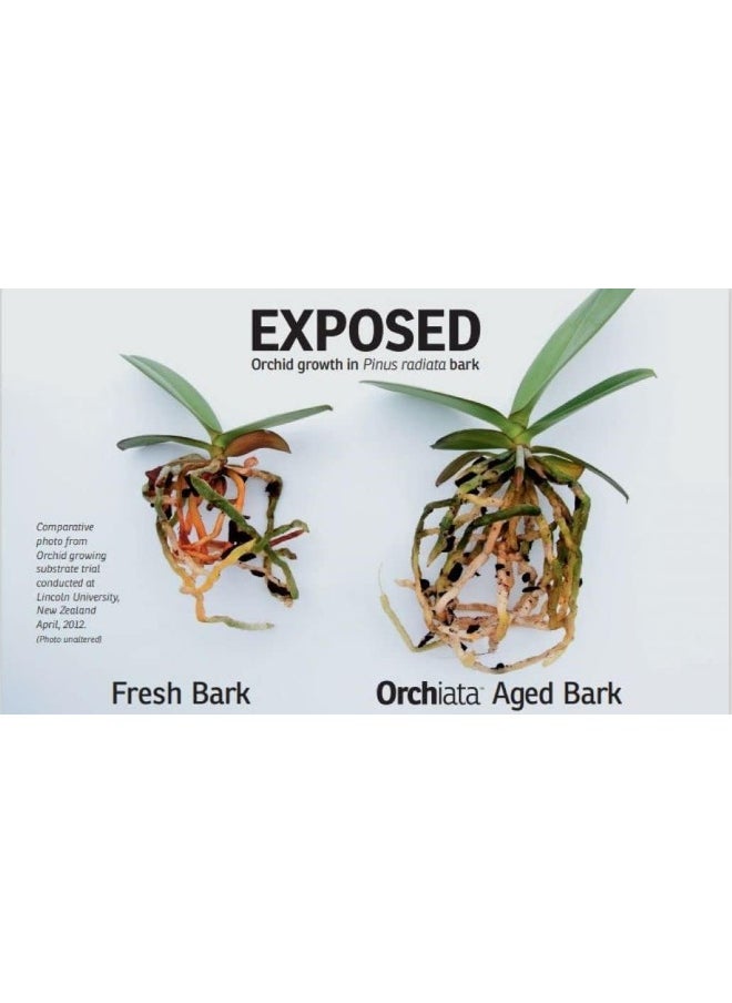 Absolute Unlimited Orchiata Orchid Bark, 100% Pure New Zealand Potting Mix - Classic 1/4In To 3/9In - For Superior Aeration, Flowering For Phalaenopsis, Vanda, Cattleya And Houseplant Orchids