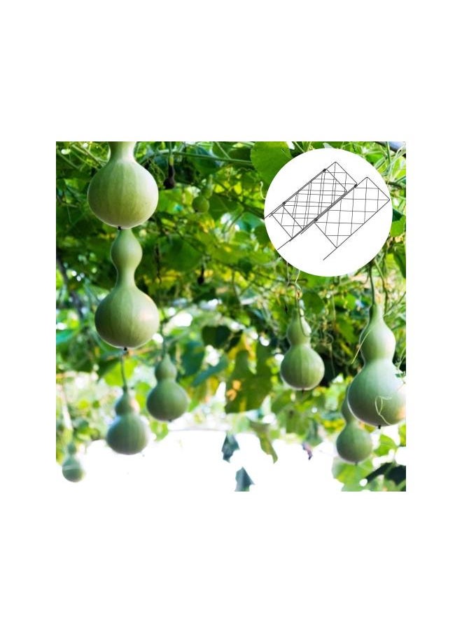 Climbing Plants Trellis Decorative Garden Fence Panel Arch Folding Flower Supports Tomato Grow Cage Stakes for Climbing Plants