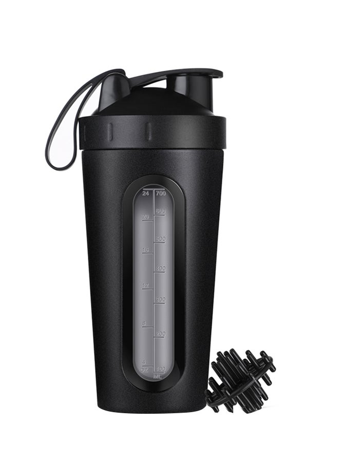 Stainless Steel Shaker Bottle With Whisk Ball Black 22x9cm