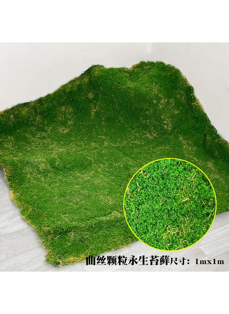 Artificial Moss Greenery Wall Decor Curved capsules immortal moss (about 1* 1m )