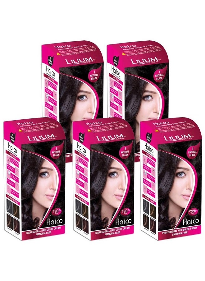 Haico Professional Natural Black Hair Color Cream Ammonia Free Pack Of 5