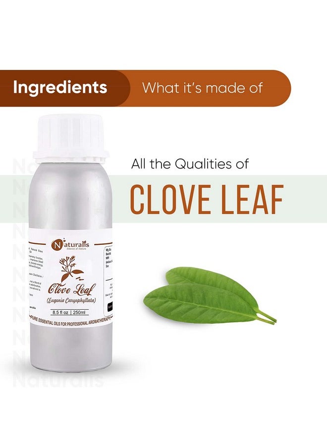 Essence Of Nature Clove Leaf Essential Oil Therapeutic Grade For Seaming, Massage, Mehndi, Hair And Teeth And Gum - 250Ml