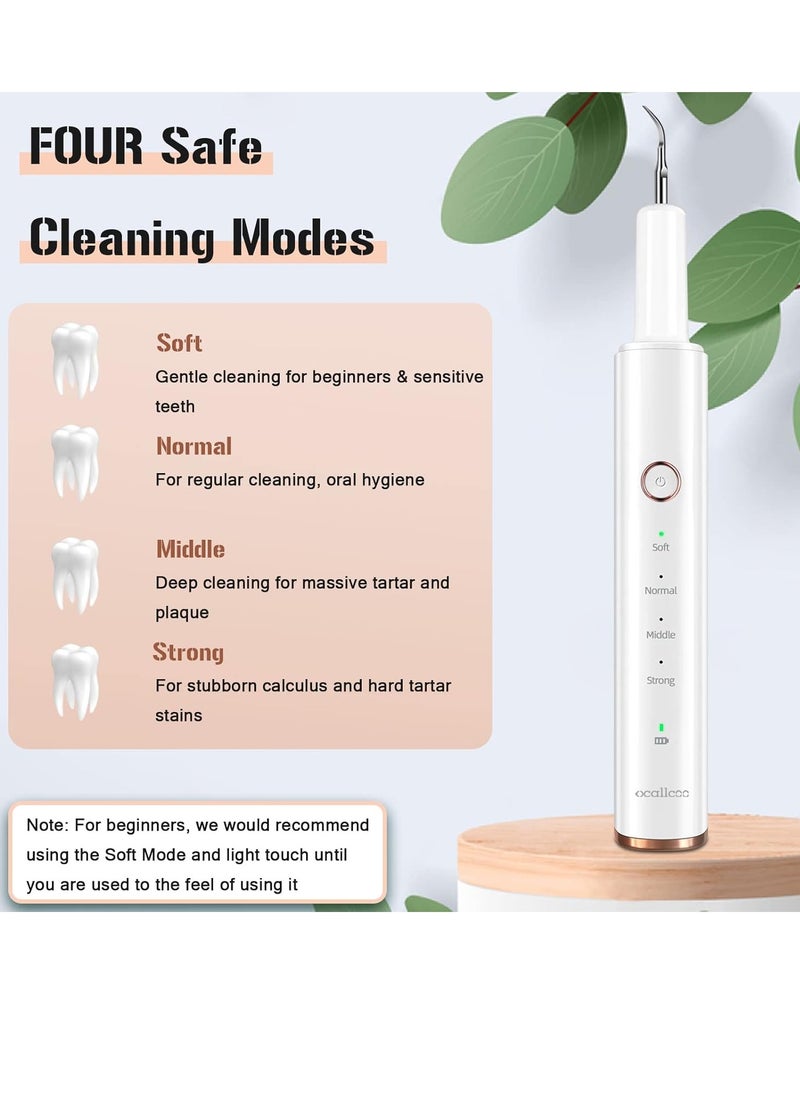 Plaque Remover for Teeth, Electric Tooth Cleaner Tartar Remover for Teeth with LED Light,4 Modes Rechargeable Teeth Cleaning Kit with Dental Tools, 2 Replaceable Heads (White A)