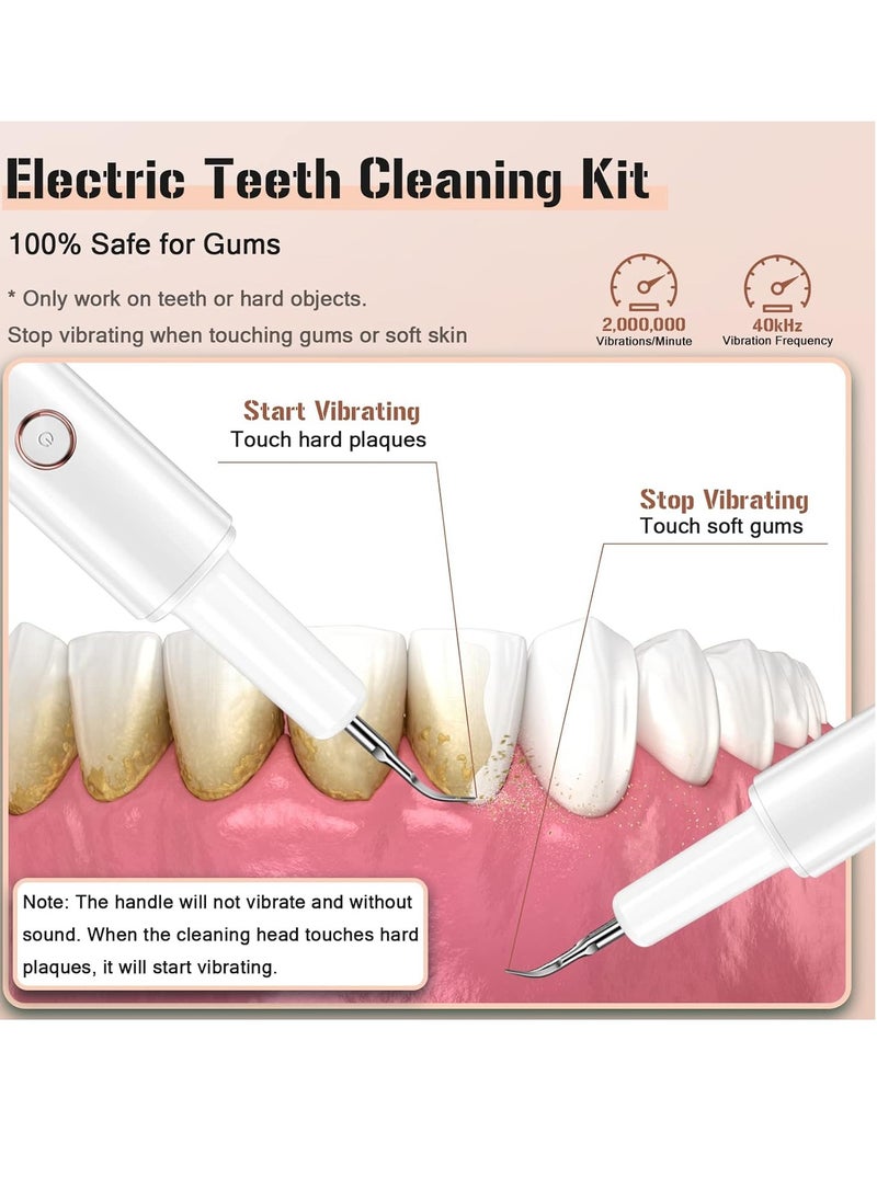 Plaque Remover for Teeth, Electric Tooth Cleaner Tartar Remover for Teeth with LED Light,4 Modes Rechargeable Teeth Cleaning Kit with Dental Tools, 2 Replaceable Heads (White A)