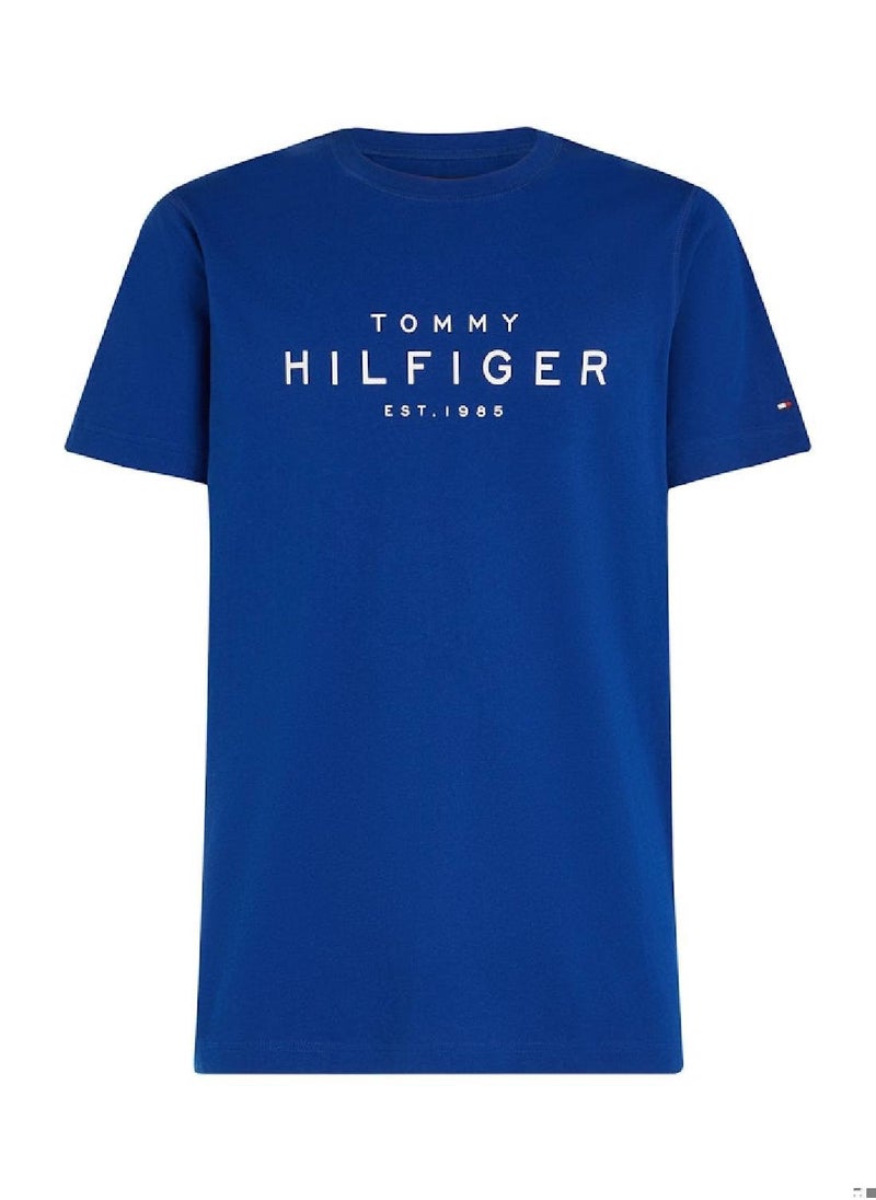 Men's Big Hilfiger T-shirt - Cotton, Blue