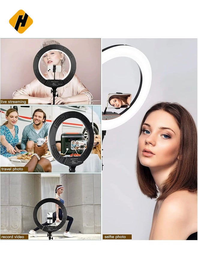 Ring Light with Stand and Phone Holder, Selfie Ringlight with Photographic Light Mounting