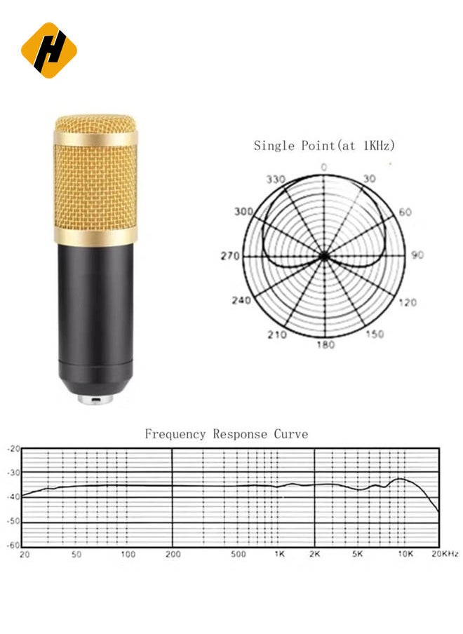 Professional BM800 Condenser Microphone Kit for PC Microphone Studio For Computer Karaoke Sound Card Recording Microphone, Auxiliary