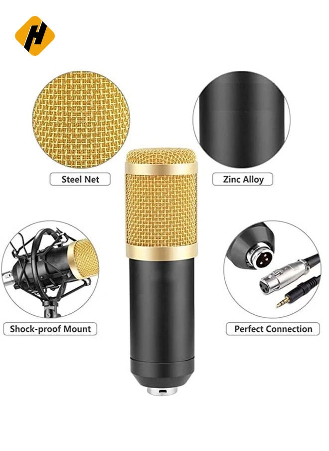 Professional BM800 Condenser Microphone Kit for PC Microphone Studio For Computer Karaoke Sound Card Recording Microphone, Auxiliary