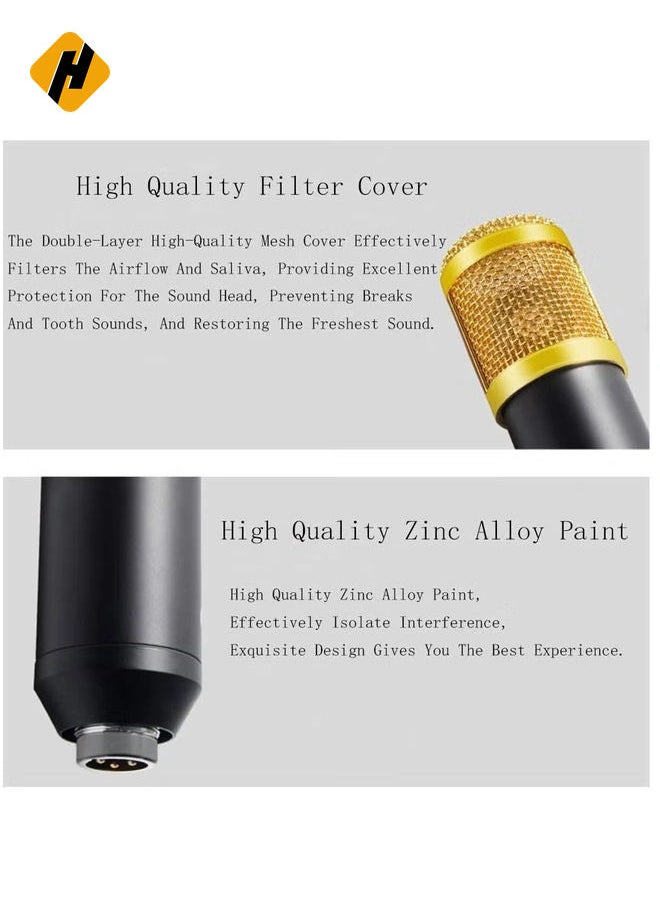 Professional BM800 Condenser Microphone Kit for PC Microphone Studio For Computer Karaoke Sound Card Recording Microphone, Auxiliary