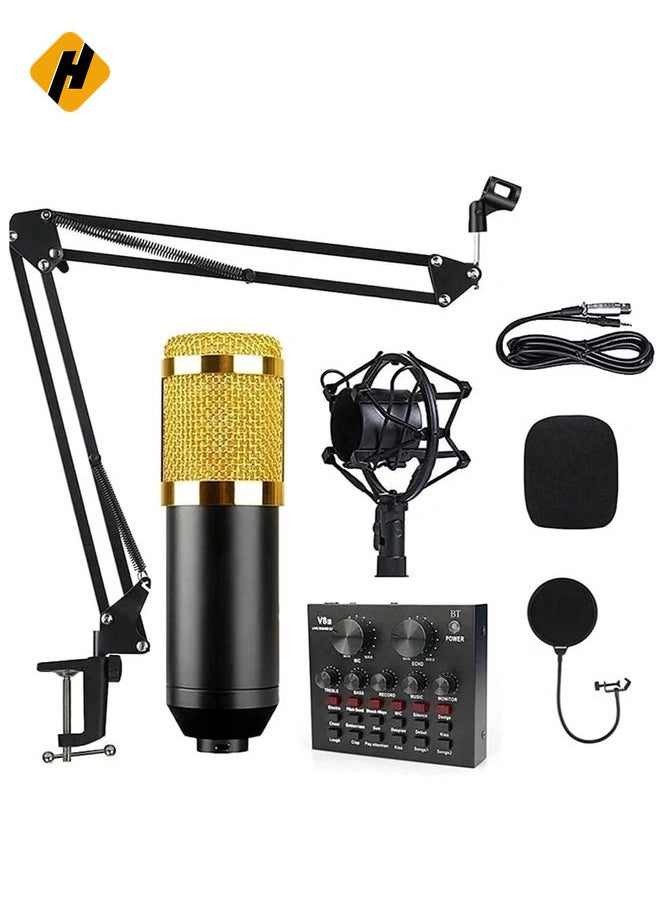 Professional BM800 Condenser Microphone Kit for PC Microphone Studio For Computer Karaoke Sound Card Recording Microphone, Auxiliary