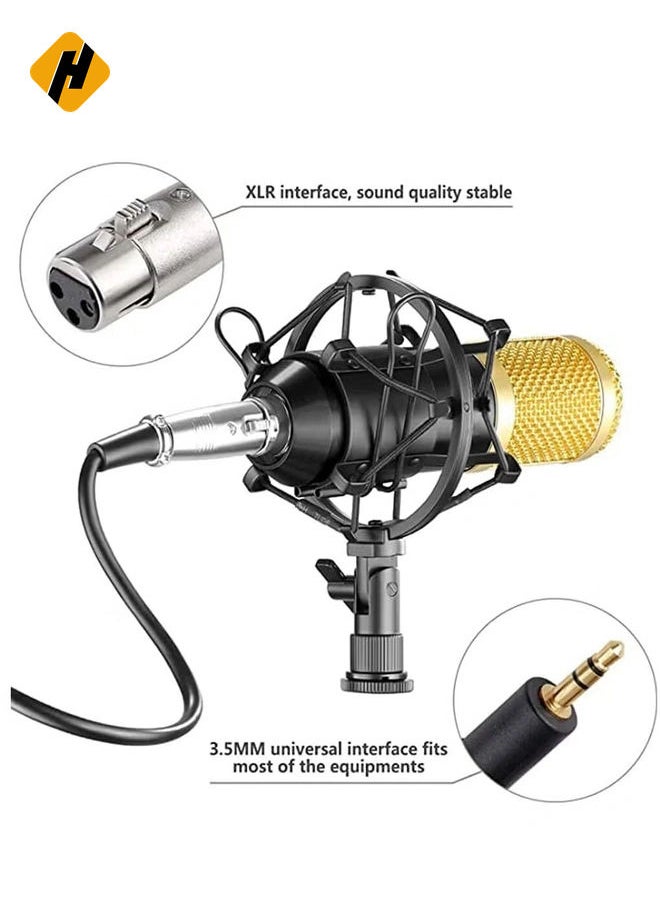 Professional BM800 Condenser Microphone Kit for PC Microphone Studio For Computer Karaoke Sound Card Recording Microphone, Auxiliary