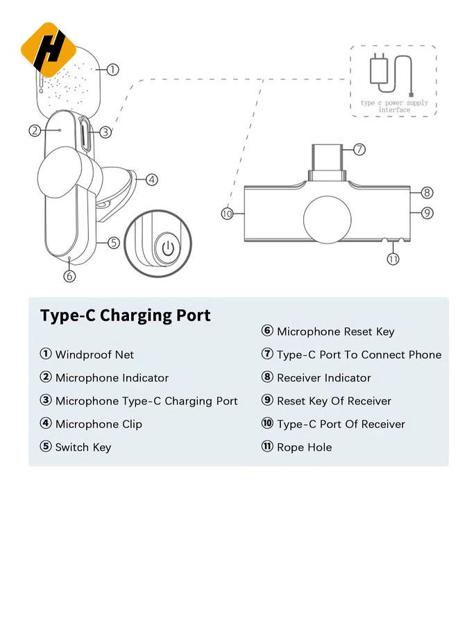 Wireless Lavalier Microphone for iPhone iPad Mini Mic for YouTube Facebook Live Stream TikTok Vlog Zoom Video Recording - Noise Reduction/No APP & Bluetooth Needed (Lightning)