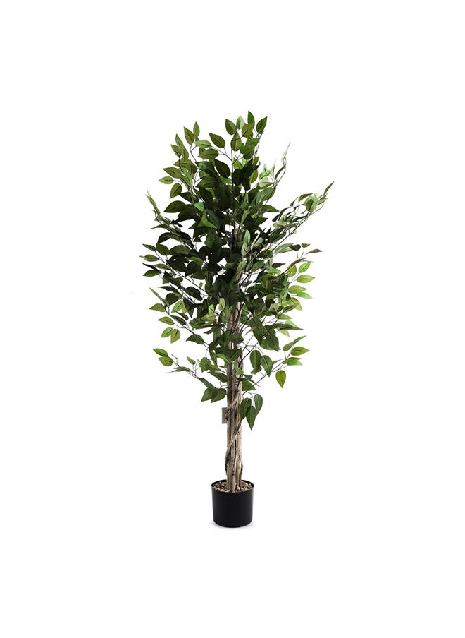 Ficus Plant in Concrete Planter Green/Black 58x132cm