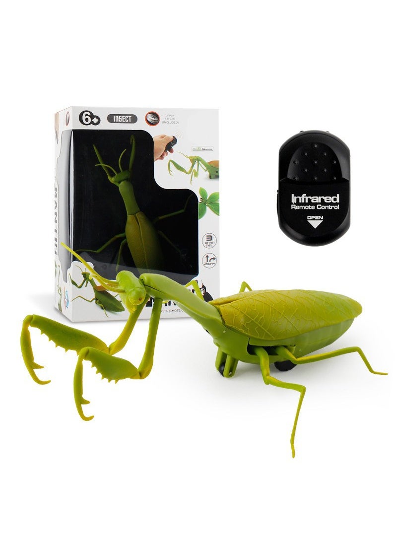 Infrared Remote Control Insect Toys - Fly, Bee, Ladybug 6661 mantis 0.3kg