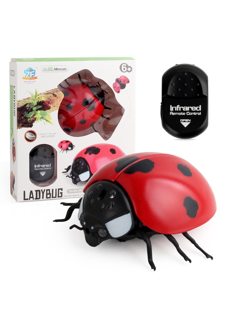 Infrared Remote Control Insect Toys - Fly, Bee, Ladybug 9922 ladybug 0.13kg