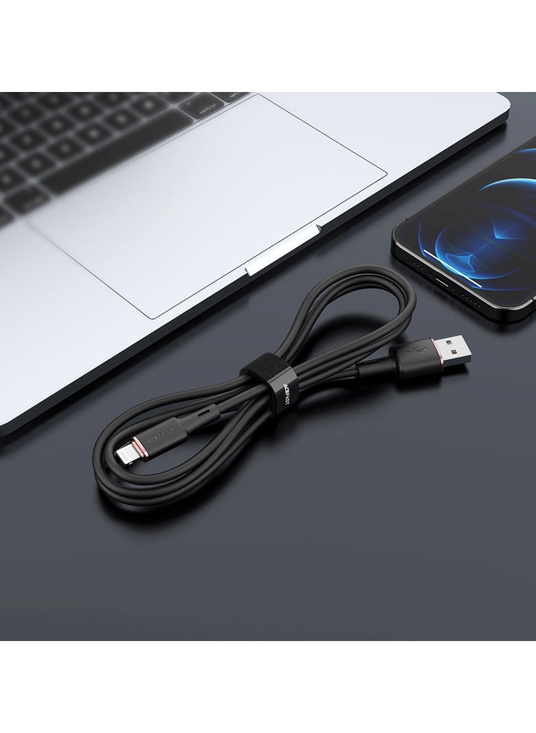 ACEFAST C2-02 USB-A to Lightning zinc Alloy Silicone Charging Data Cable