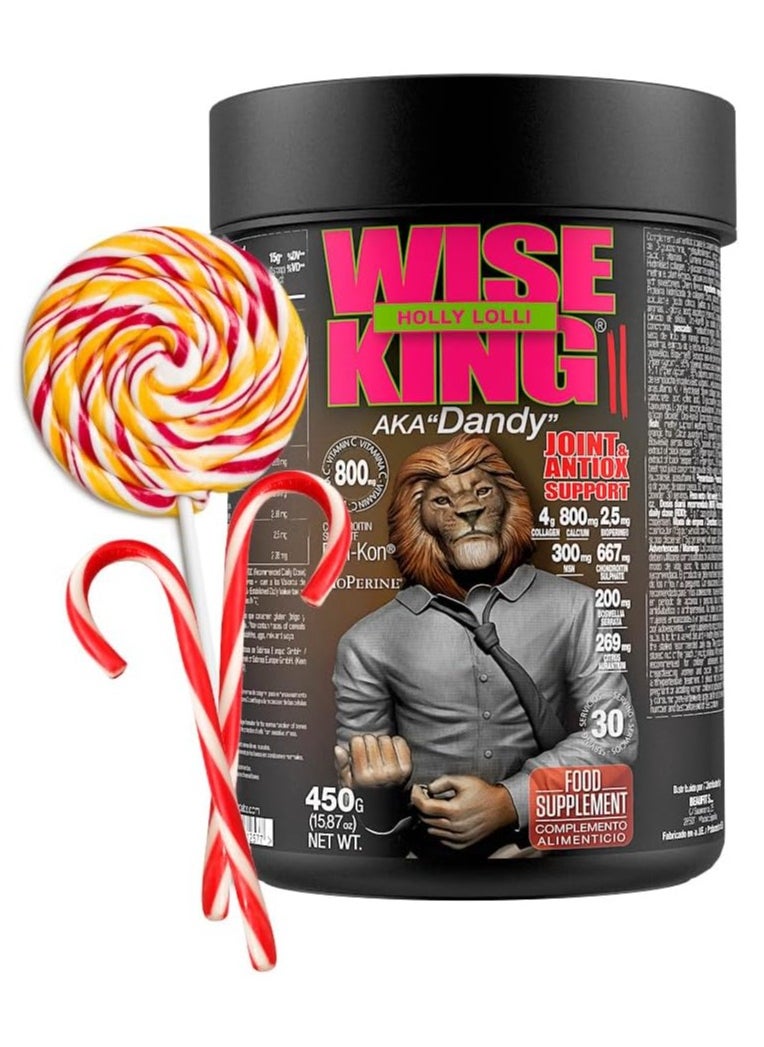 Zoomad Labs, Wise King, Joint & Antiox Support, 450g, Holly Lolli, 30 Servings