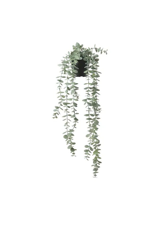 FEJKA Artificial potted plant, in/outdoor hanging/eucalyptus, 9 cm