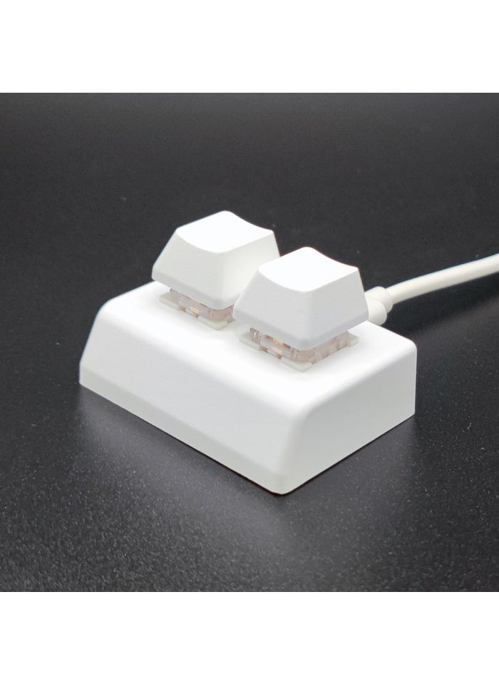 2-Key USB Custom Keyboard for Copy-Paste White-Green Shaft