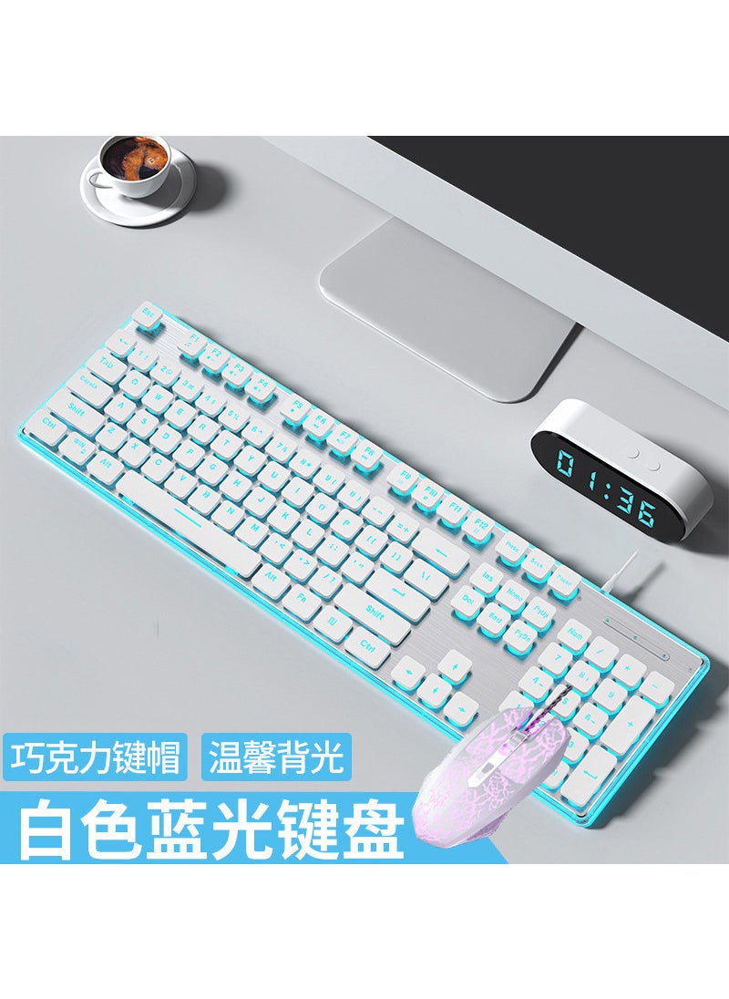 Slim Silent Keyboard  Mouse, Mechanical Feel, Wired Set: white ice blue + White 6-button mouse