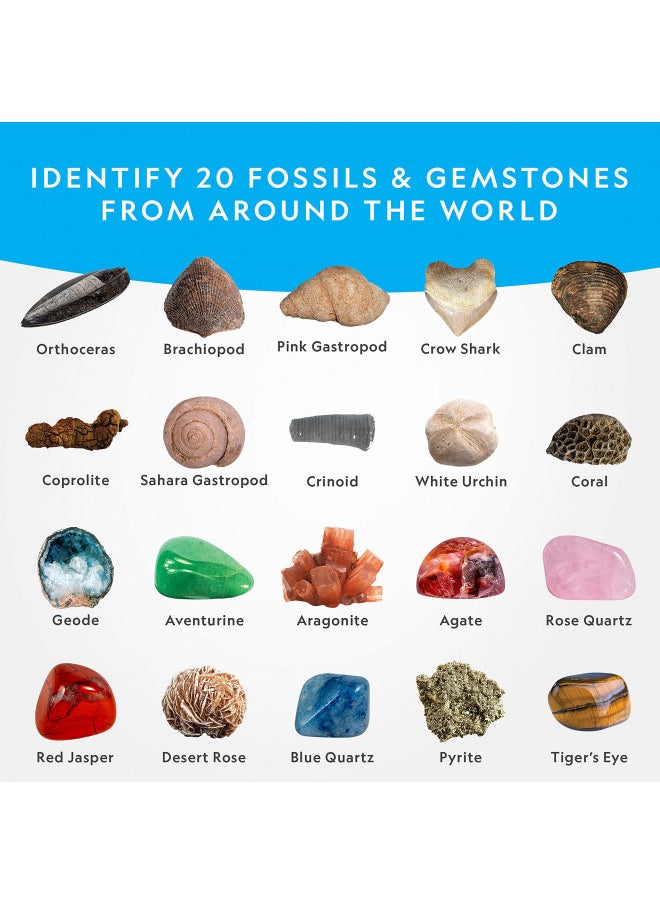 NATIONAL GEOGRAPHIC Mega Fossil and Gemstone Dig Kit - Excavate 20 Real Fossils and Gems, Science Kit for Kids, Rock Digging Excavation Kit, Geology Gifts for Boys and Girls (Amazon Exclusive)