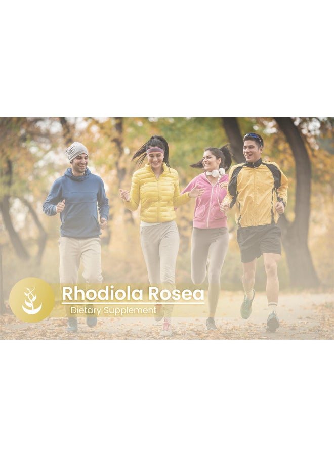 PURE ORIGINAL INGREDIENTS Rhodiola Rosea (100 Capsules) Always Pure, No Additives Or Fillers, Lab Verified