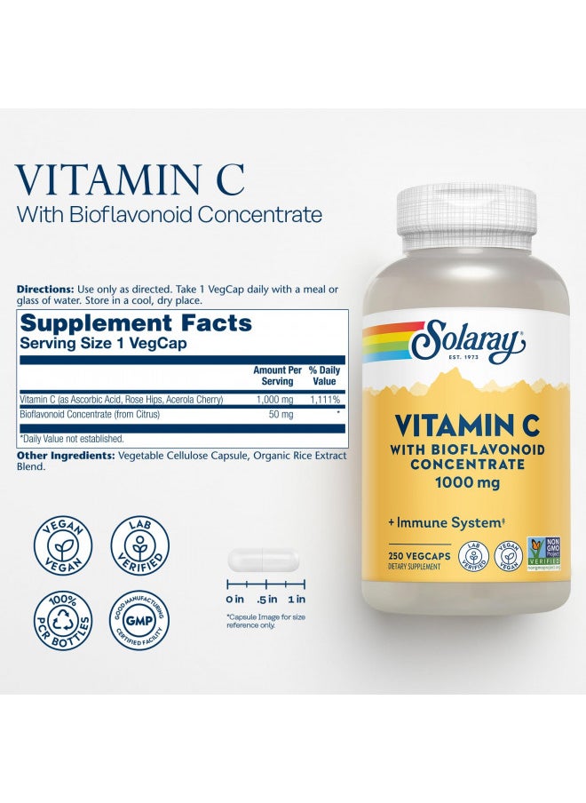 SOLARAY Vitamin C w/Rose Hips, Acerola & Bioflavonoids, 1000mg, Supports Immune Function & Healthier Skin, Hair, Nails, Non-GMO, Vegan, 250 CT