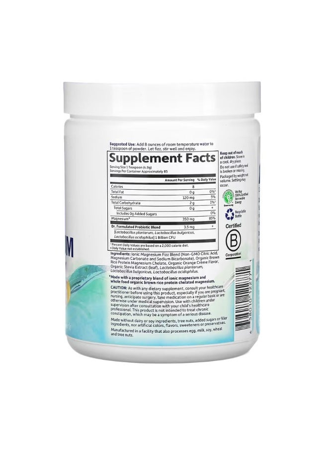 Dr. Formulated Whole Food Magnesium Powder Orange 14.8 oz 419.5 g