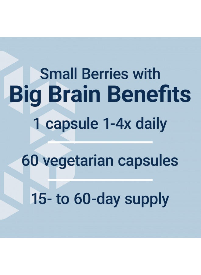 Life Extension Blueberry Extract Capsules - Whole Fruit Wild Blueberry Extract Supplement Pills- For Brain Health Support - Non-GMO, Gluten-Free ,Vegetarian - 60 Capsules