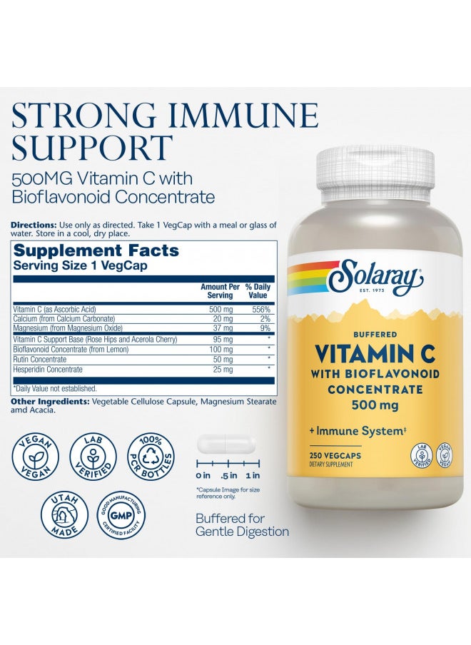 Solaray Buffered Vitamin C 500mg - with Bioflavonoids, Rose HIPS and Acerola Cherry - Immune Support Supplement - Easy to Digest, Vegan, Lab Verified, 60-Day Guarantee - 250 Servings, 250 VegCaps