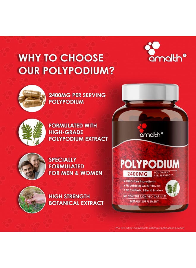 AMALTH Polypodium Leucotomos Extract 2400mg Per Day Supports Natural Healthy Skin -Antioxidant Supplements -120 Capsules (Vegetarian, Non-GMO & Gluten Free)