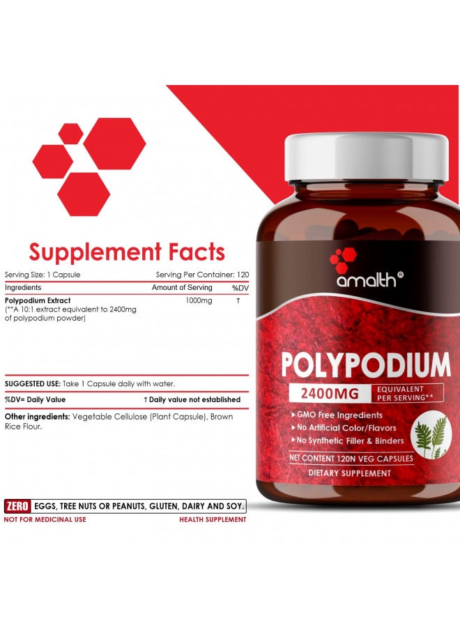 AMALTH Polypodium Leucotomos Extract 2400mg Per Day Supports Natural Healthy Skin -Antioxidant Supplements -120 Capsules (Vegetarian, Non-GMO & Gluten Free)