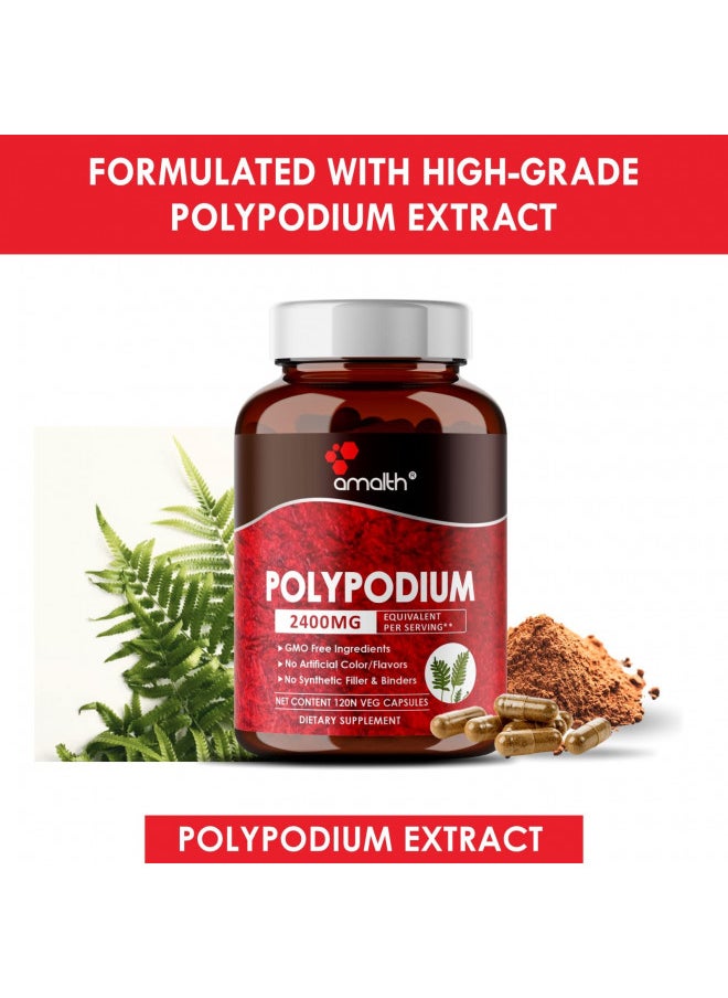 AMALTH Polypodium Leucotomos Extract 2400mg Per Day Supports Natural Healthy Skin -Antioxidant Supplements -120 Capsules (Vegetarian, Non-GMO & Gluten Free)