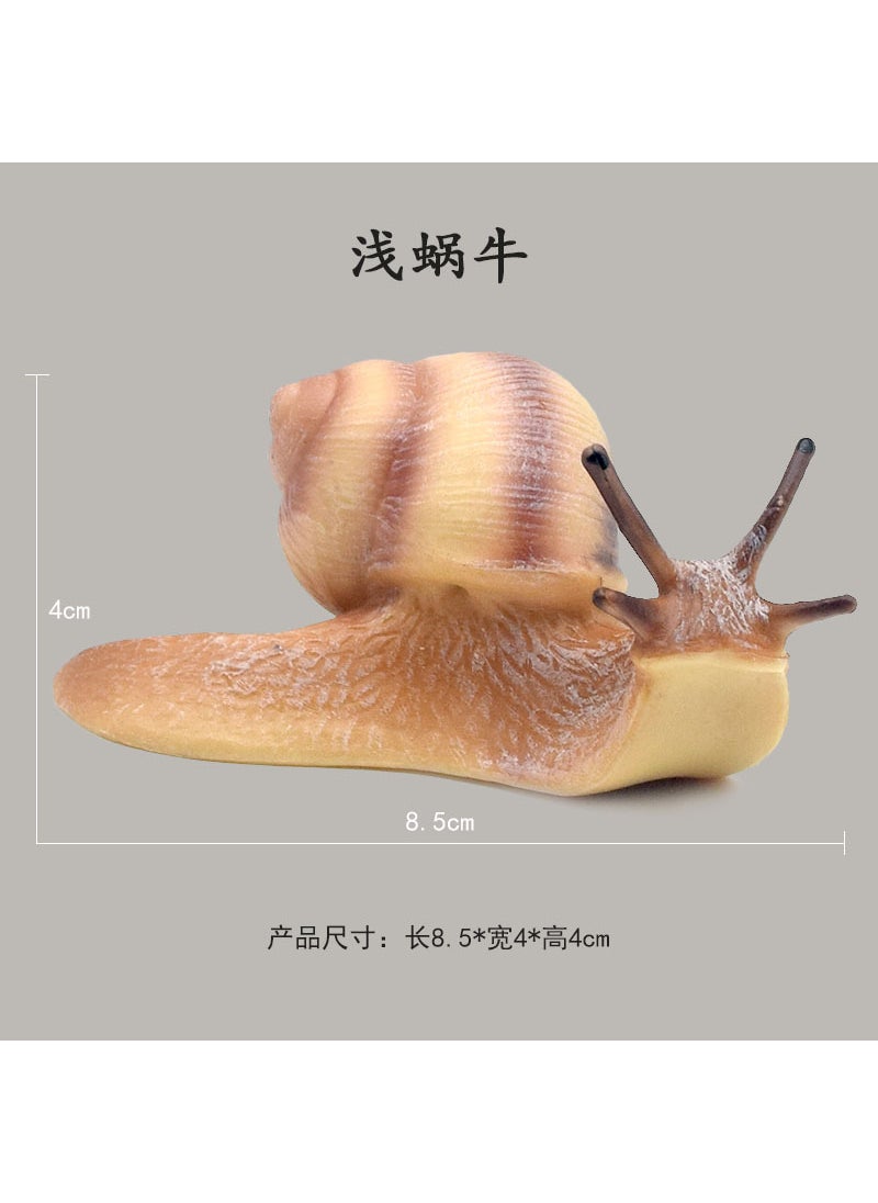 New Snail Model Educational Toy Insect Lifecycle 1667 Light Snail