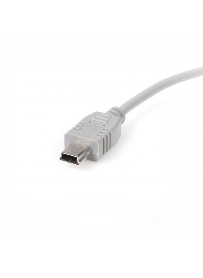 StarTech.com 1 ft. (0.3 m) USB to Mini USB Cable - USB 2.0 A to Mini B - Gray - Mini USB Cable (USB2HABM1)