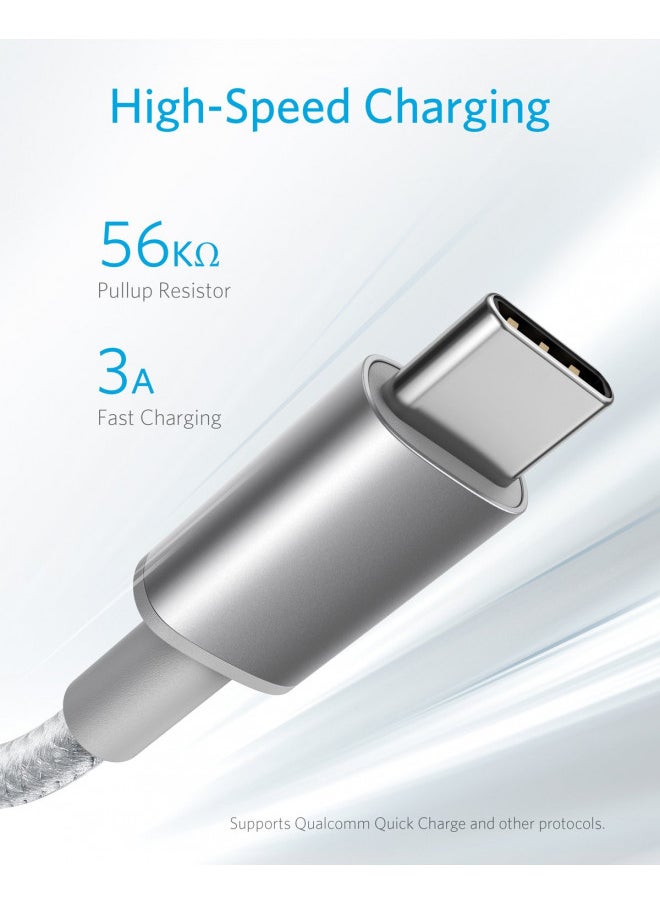 USB Type C Cable, Anker [2-Pack 6Ft] Premium Nylon USB-C to USB-A Fast Charging Type C Cable, for Samsung Galaxy S10 / S9 / S8 / Note 8, LG V20 / G5 / G6 and More(Silver)