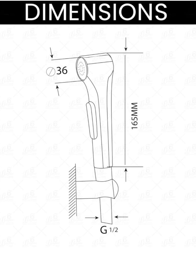 2 B BAGNO Silver Bidet Sprayer, Model No. SF02C
