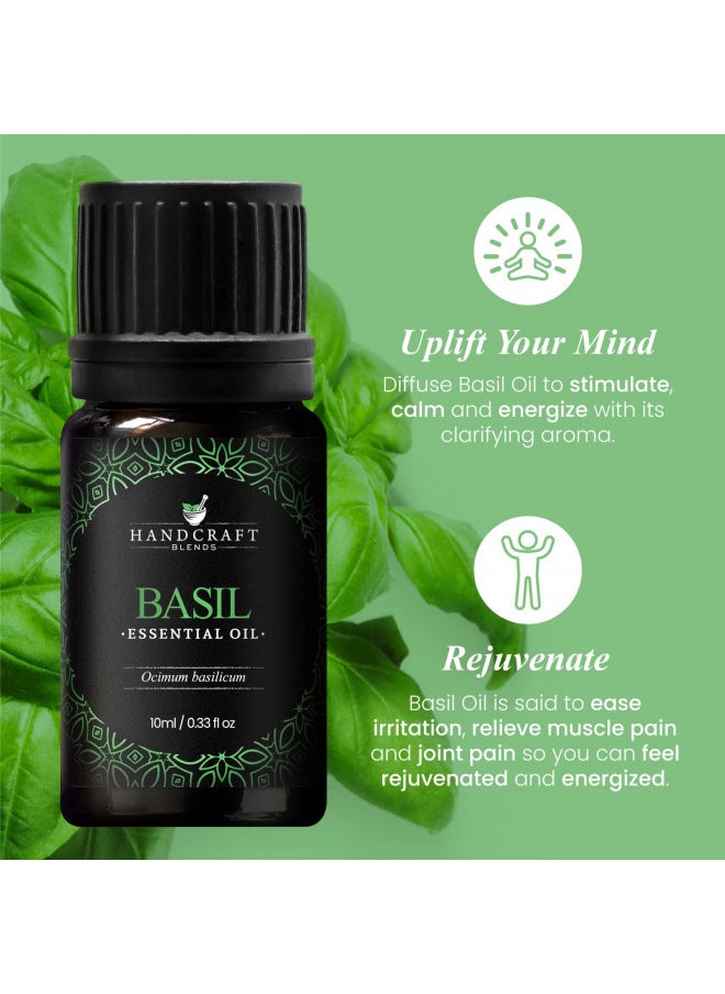 Handcraft Basil Essential Oil - 100% Pure and Natural - Premium Therapeutic Grade Essential Oil for Diffuser and Aromatherapy - 0.33 Fl Oz