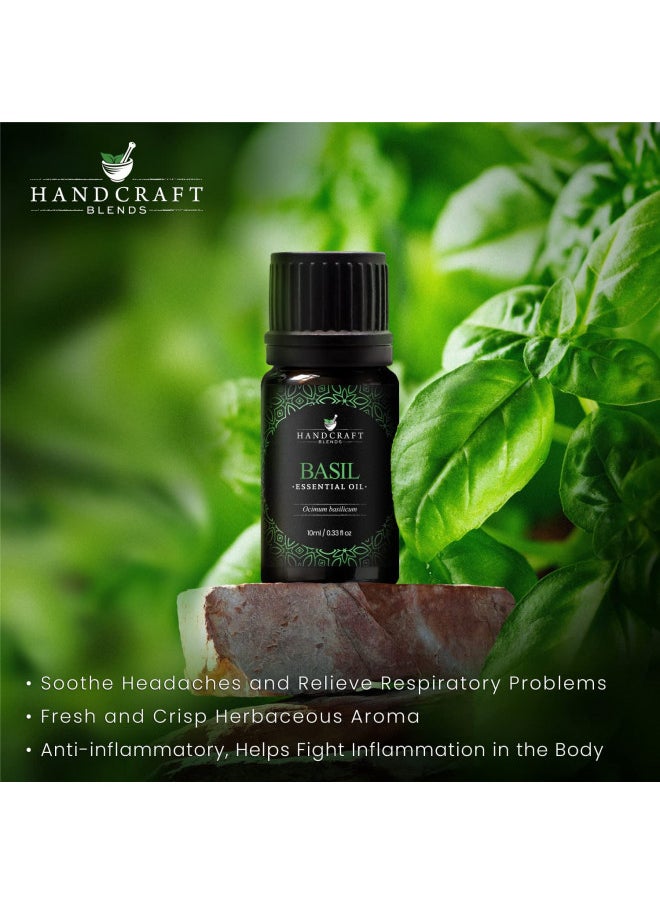 Handcraft Basil Essential Oil - 100% Pure and Natural - Premium Therapeutic Grade Essential Oil for Diffuser and Aromatherapy - 0.33 Fl Oz