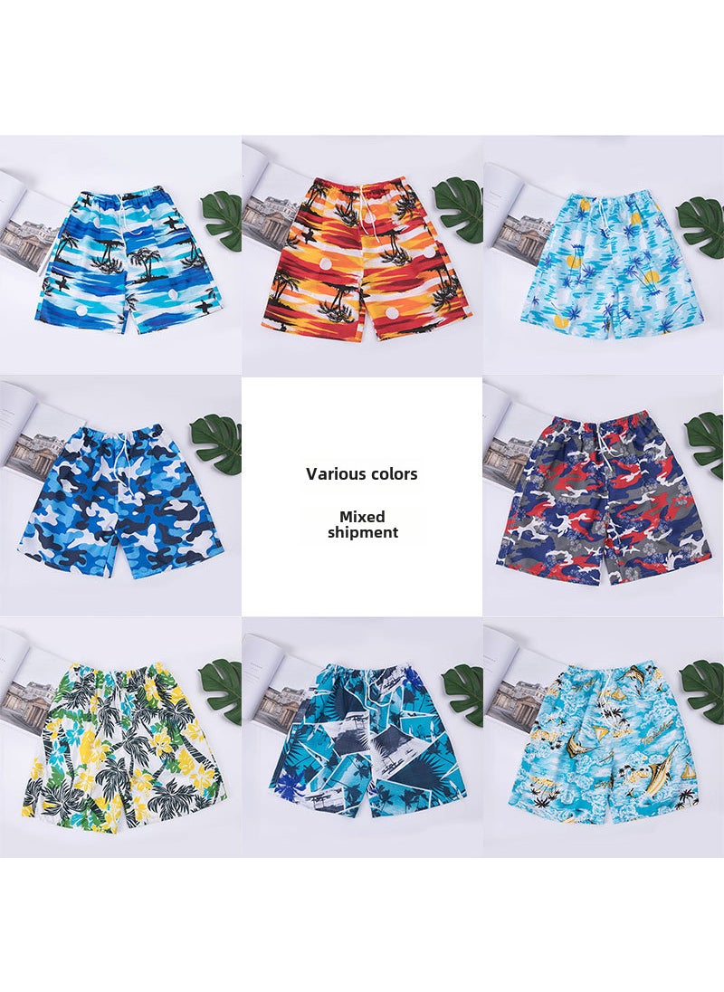 1 x 5 pcs Stylish Quick-Dry Mens Beach Shorts Casual Swimwear Multicolor mixed batch