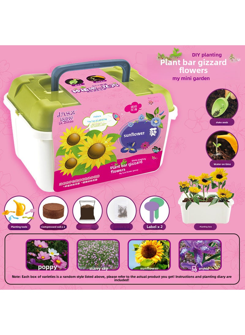 Kids DIY Planting Craft Kit Blind Box 15-piece flower planting box set