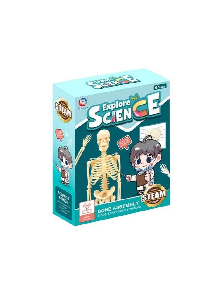 Explore Science Bone Assembly Kit - STEAM Educational Toy for Kids Ages 6 and Up, Learn Human Anatomy Through Fun Hands-On Play